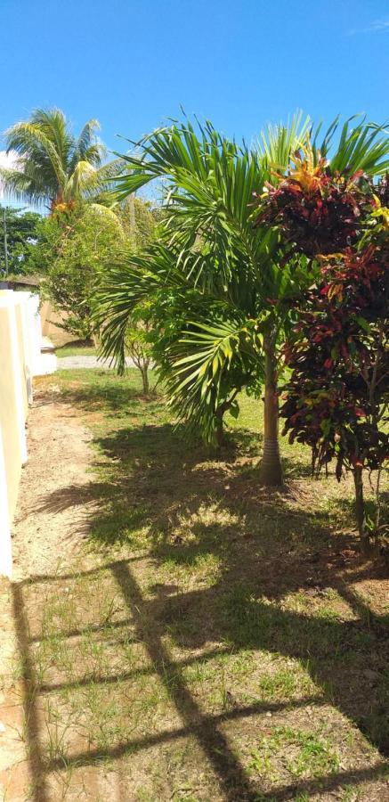 Villa Bethlehem Self-Catering Anse Boileau Extérieur photo